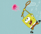 SpongeBob denizanası yakalamak için çalışıyor